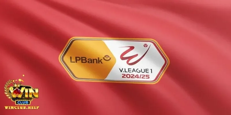 Lựa chọn soi kèo V League phù hợp với ngân sách và chiến thuật